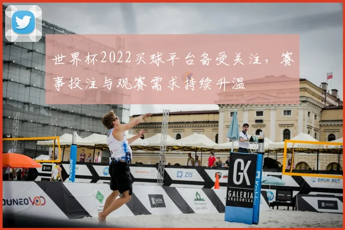 世界杯2022买球平台备受关注，赛事投注与观赛需求持续升温