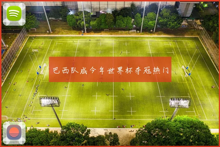 巴西队成今年世界杯夺冠热门