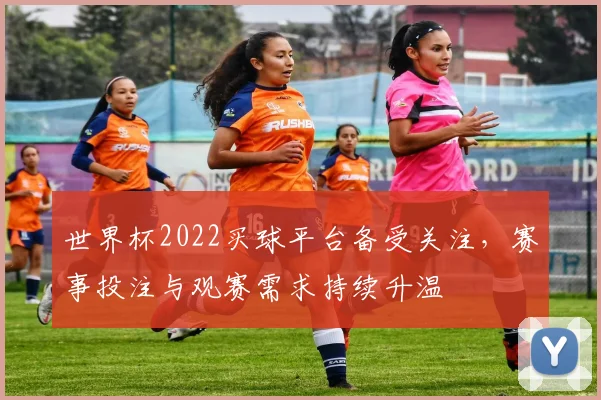 世界杯2022买球平台备受关注，赛事投注与观赛需求持续升温