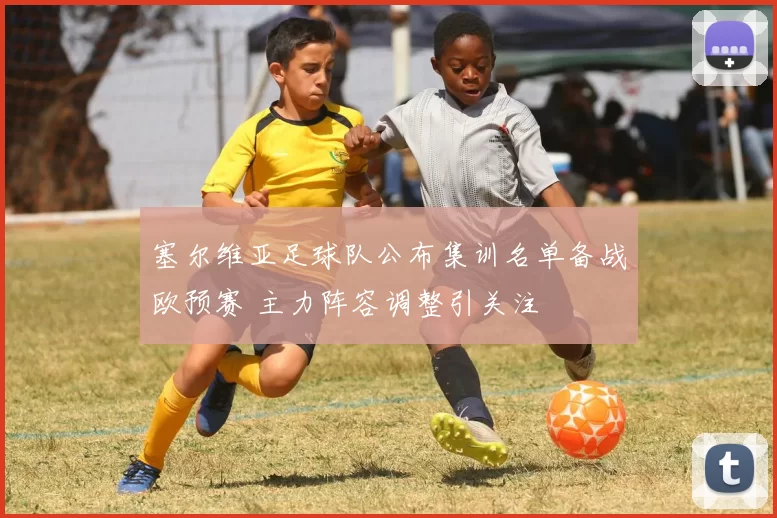 塞尔维亚足球队公布集训名单备战欧预赛 主力阵容调整引关注